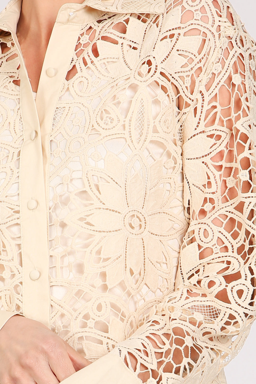 PC6575_IVORY