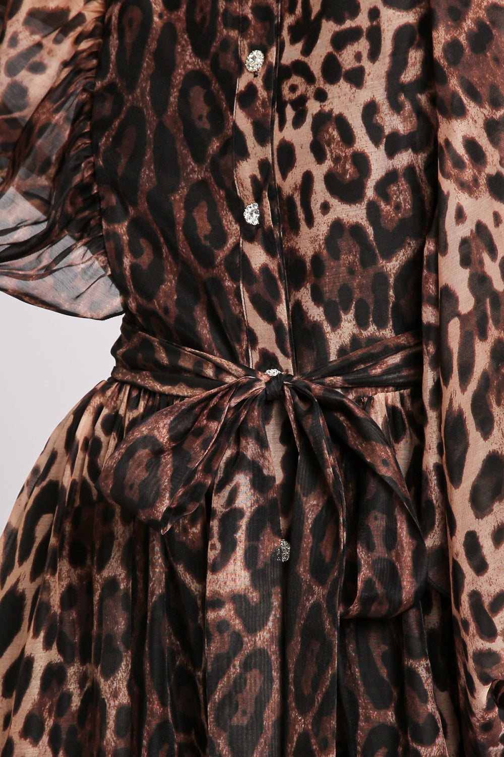 PC3841_LEOPARD