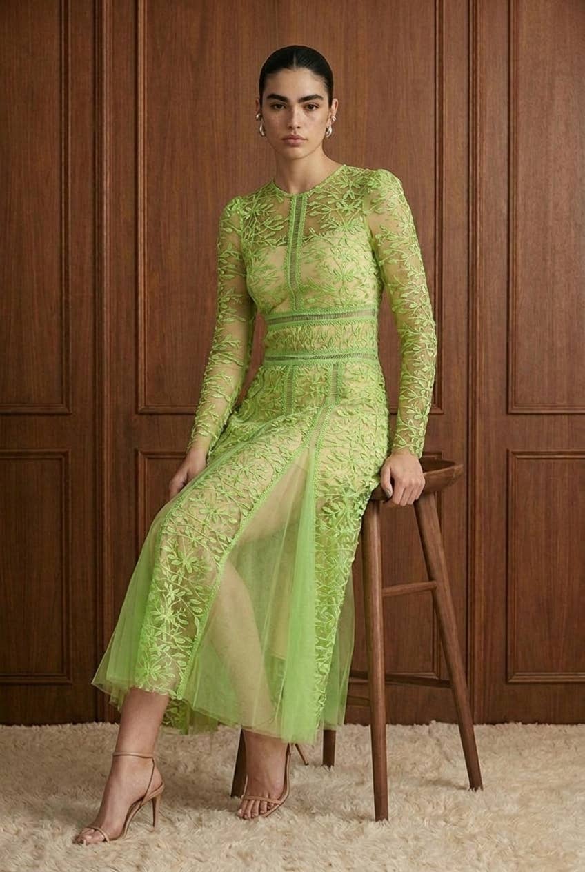 Embroidered Mesh Paneled Midi Dress