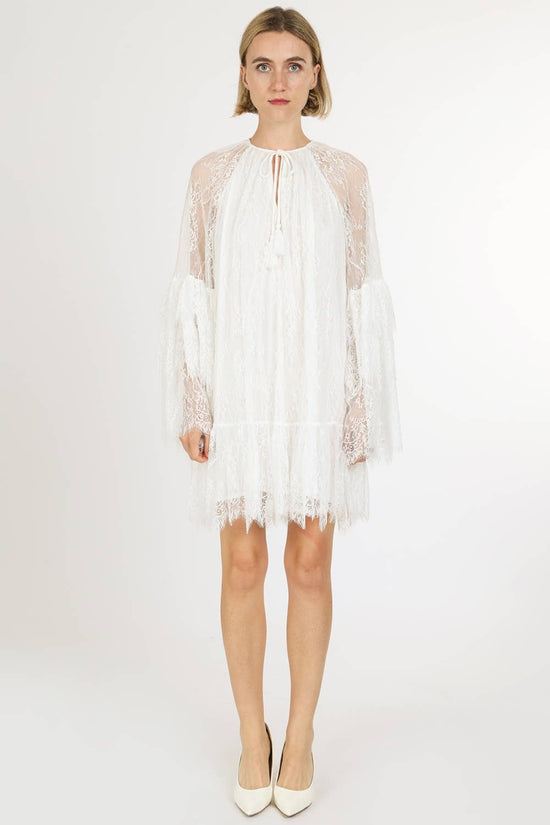 Floral Embroidered on Mesh Flounce Mini Dress