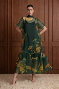 Floral Print Sheer Organza Tie Neck Maxi Dress