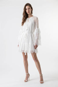 Eyelash Lace Tassel Tie Mini Dress