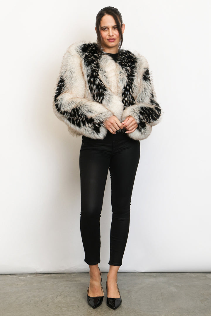 PM4172_IVORY