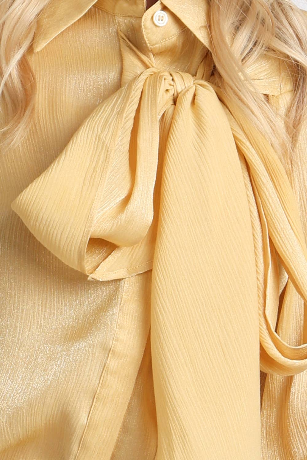 Luminous Sheer Tie Neck Long Sleeve Blouse