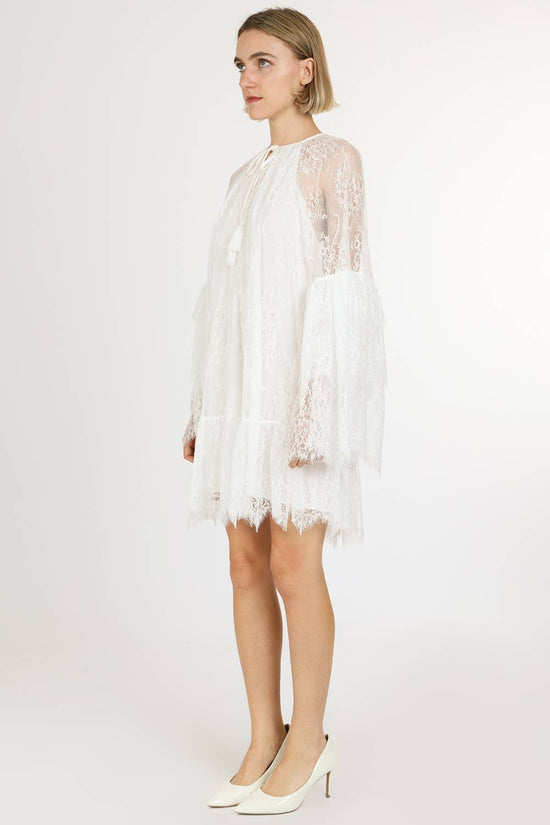 Floral Embroidered on Mesh Flounce Mini Dress