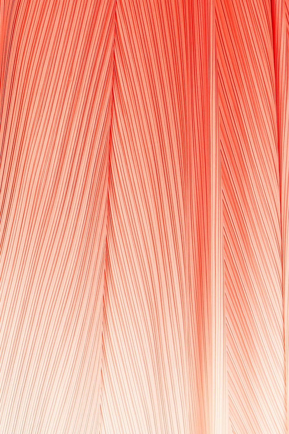 QM6021_ORANGE