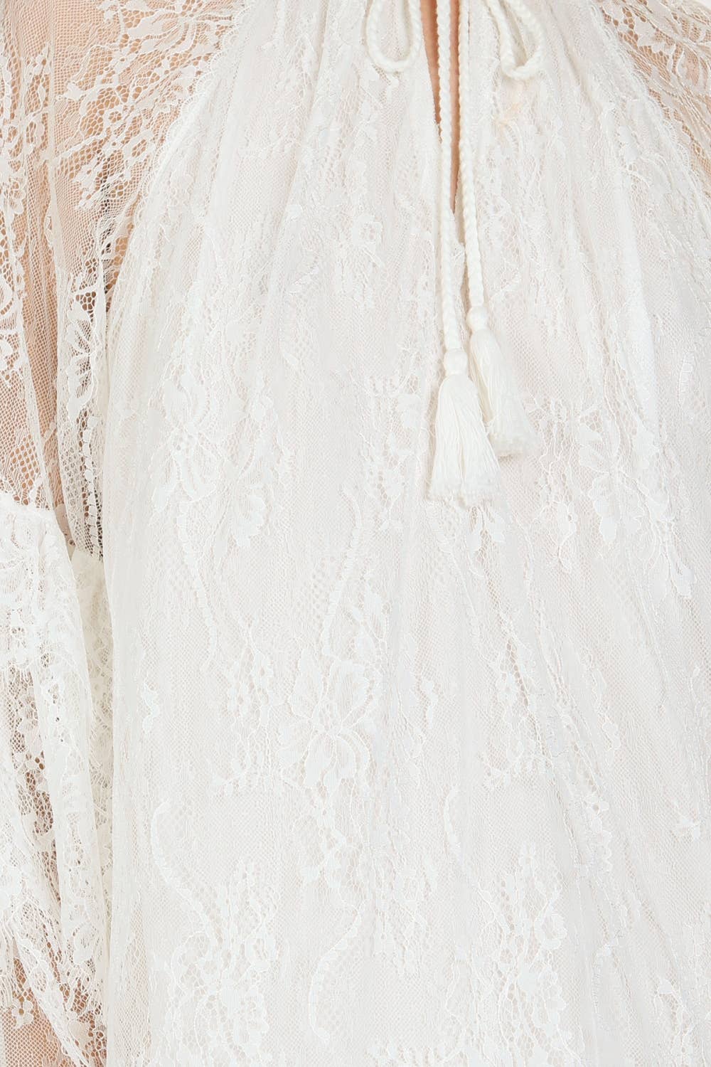 Floral Embroidered on Mesh Flounce Mini Dress