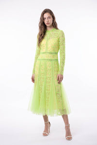 Embroidered Mesh Paneled Midi Dress