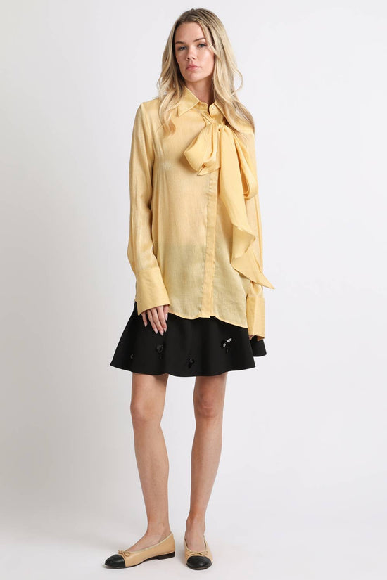 Luminous Sheer Tie Neck Long Sleeve Blouse