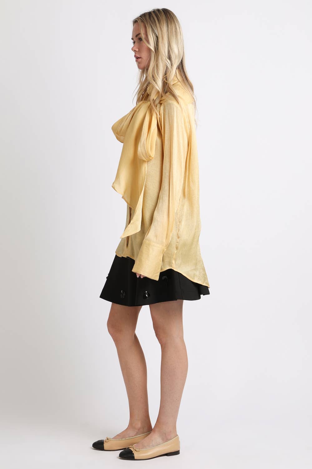 Luminous Sheer Tie Neck Long Sleeve Blouse
