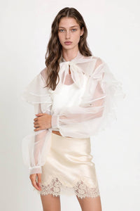 Sheer Organza Tie Neck Ruffled Blouse