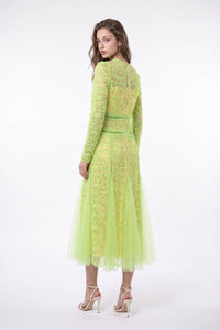 Embroidered Mesh Paneled Midi Dress