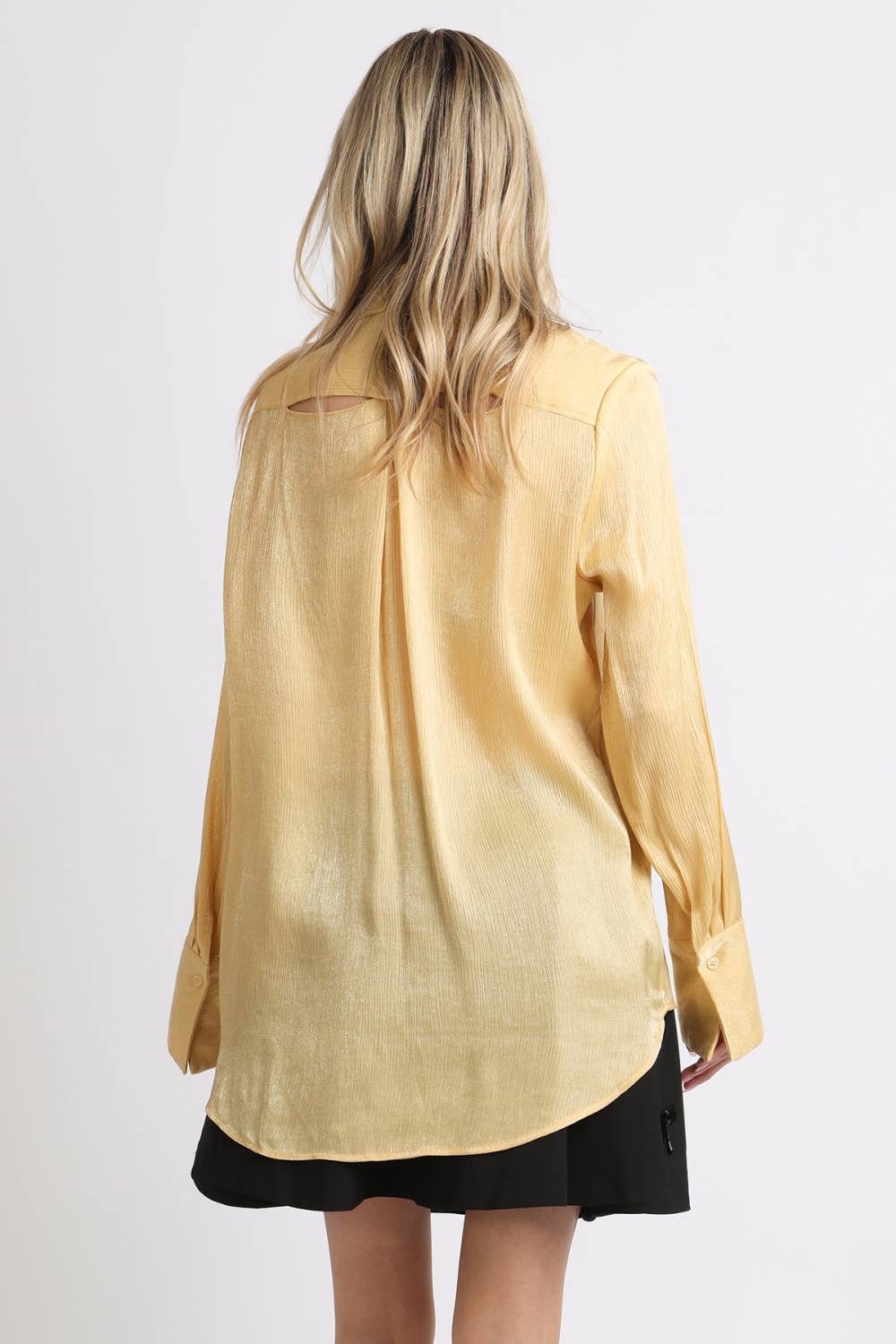 Luminous Sheer Tie Neck Long Sleeve Blouse