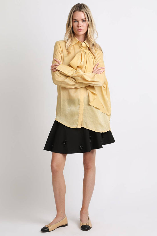 Luminous Sheer Tie Neck Long Sleeve Blouse