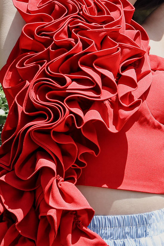 Teresa Volume Ruffled Applique Sweetheart Crop Top