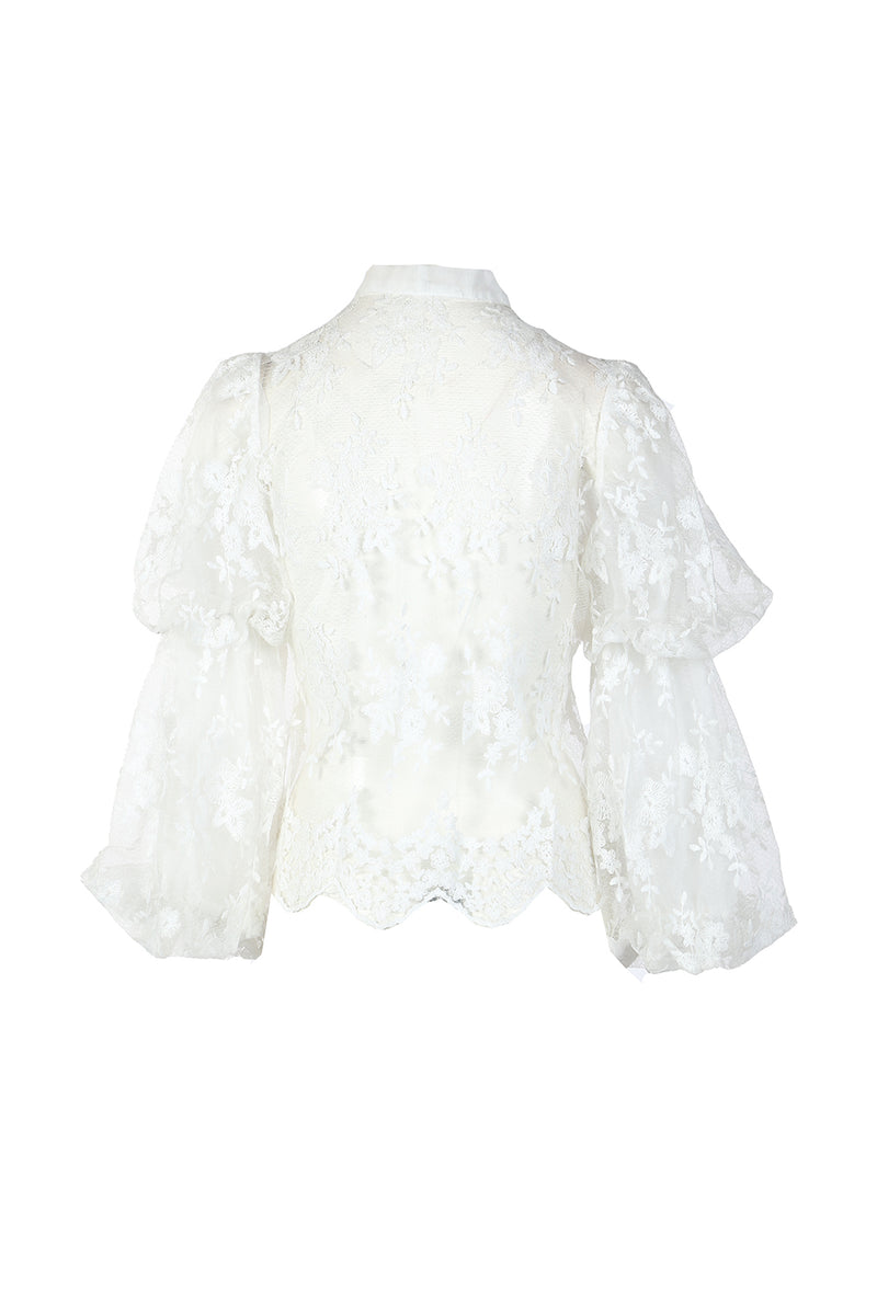 Raelyn Romantic Sheer Organza Lace Puff Sleeve Blouse - Shop Beulah Style