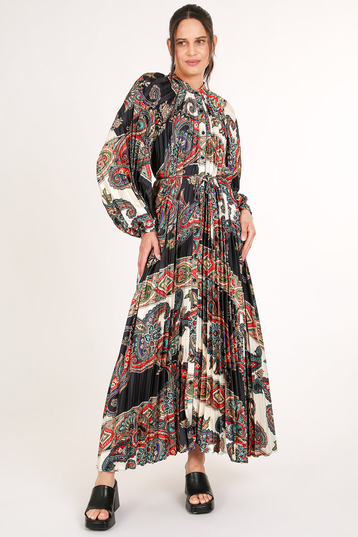 Ellen Multicolor Abstract Paisley Print Pleated Maxi Dress