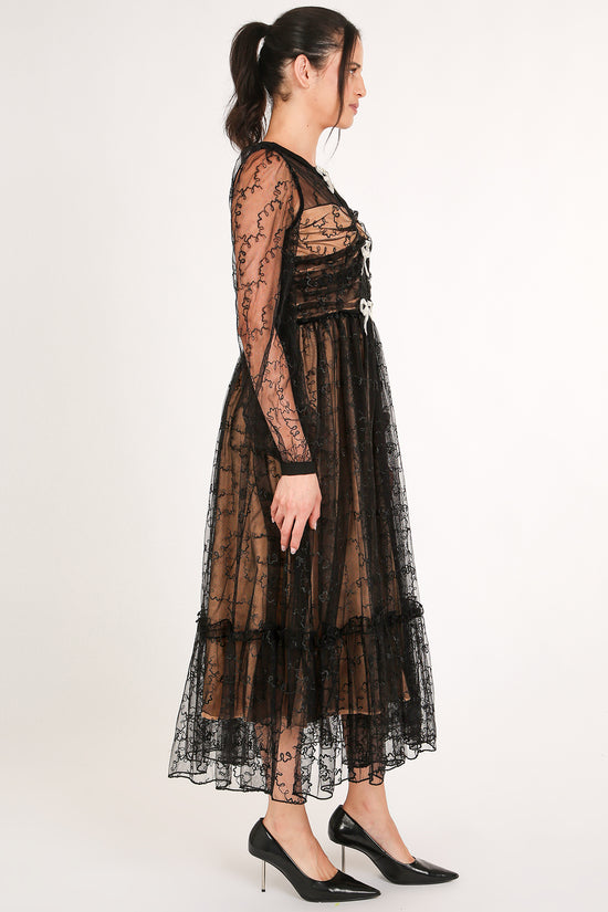 Jonah Embellished & Embroidered Mesh Maxi Dress - Shop Beulah Style