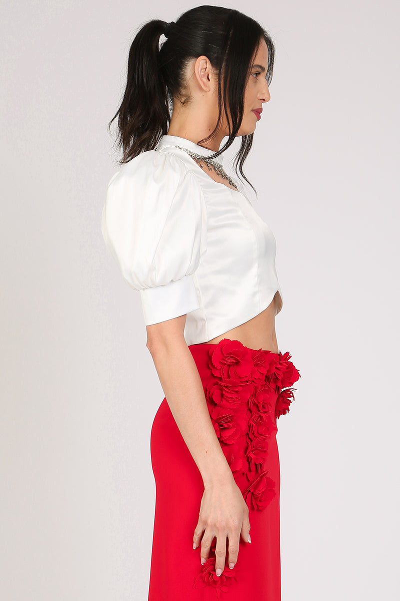 Hona Embellished Choke Band & U neck Satin Crop Top