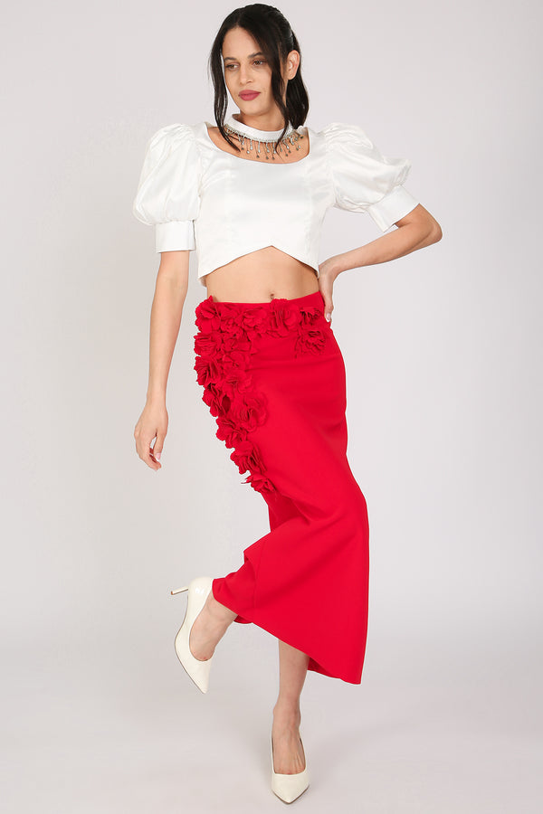 Hona Embellished Choke Band & U neck Satin Crop Top