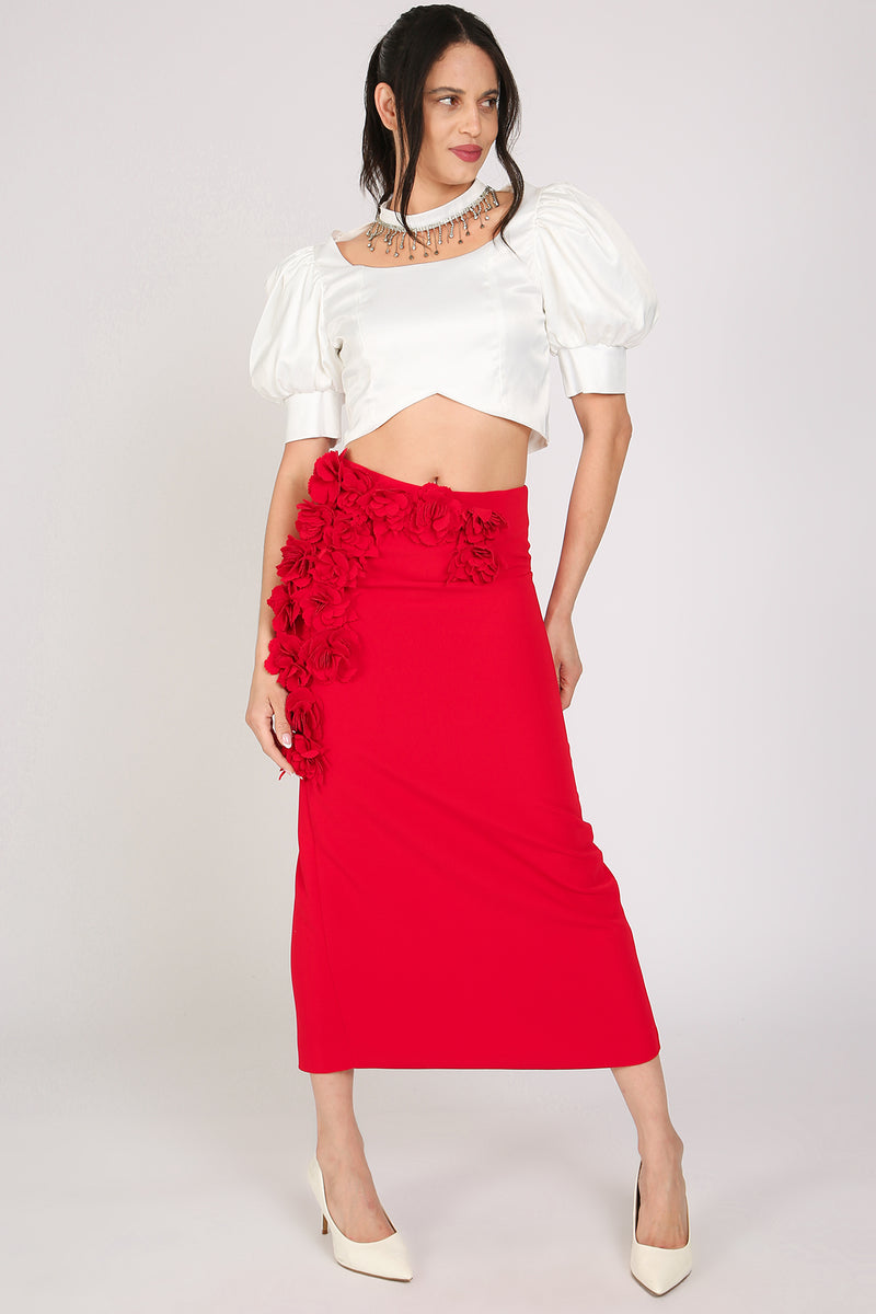 Hona Embellished Choke Band & U neck Satin Crop Top