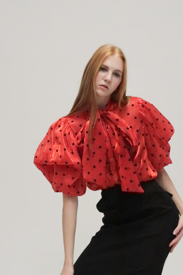 Sloane Burnout Polkadot Organza Blouse Top - Shop Beulah Style