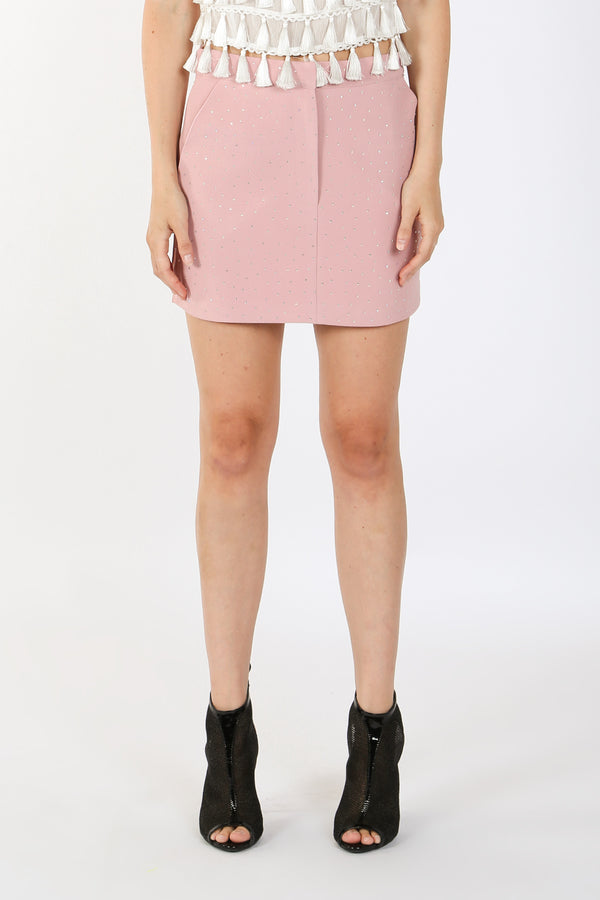 Jeffrey Micro Rhinestone Embellished Mini Skirt - Shop Beulah Style