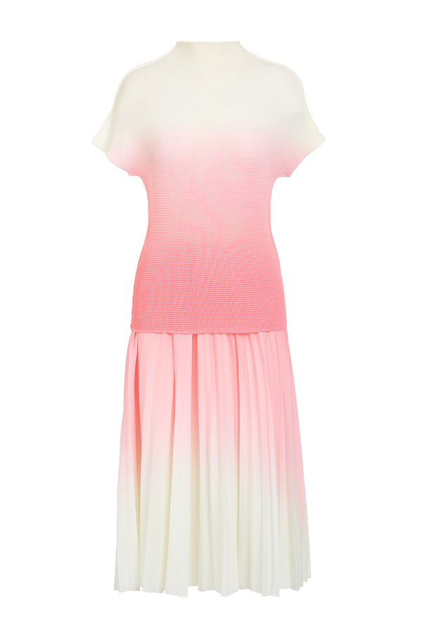 Rachel Soft Gradation Printed Pleat Top & Skirt