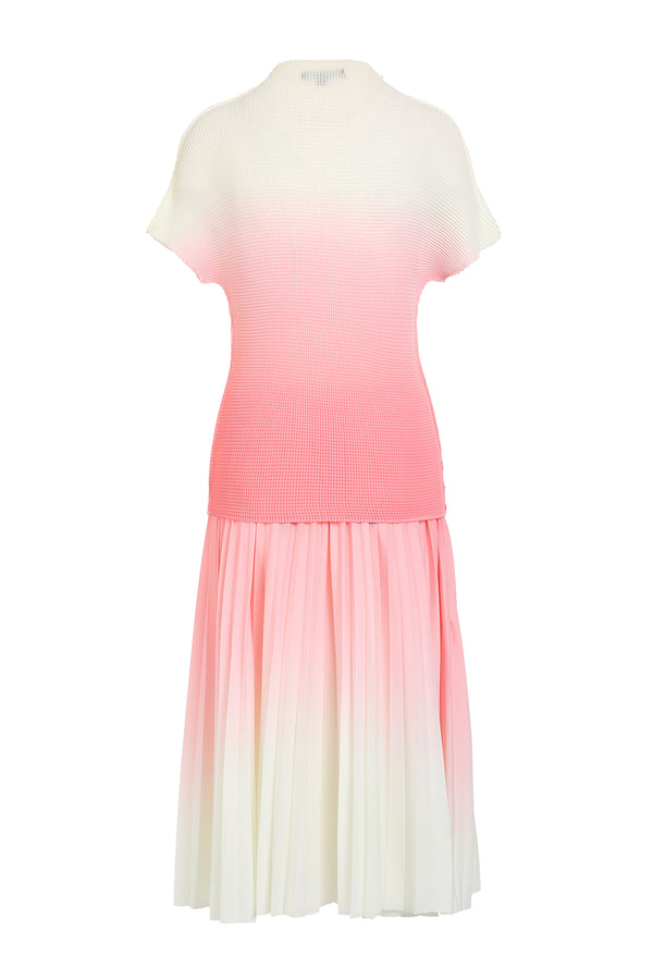 Rachel Soft Gradation Printed Pleat Top & Skirt