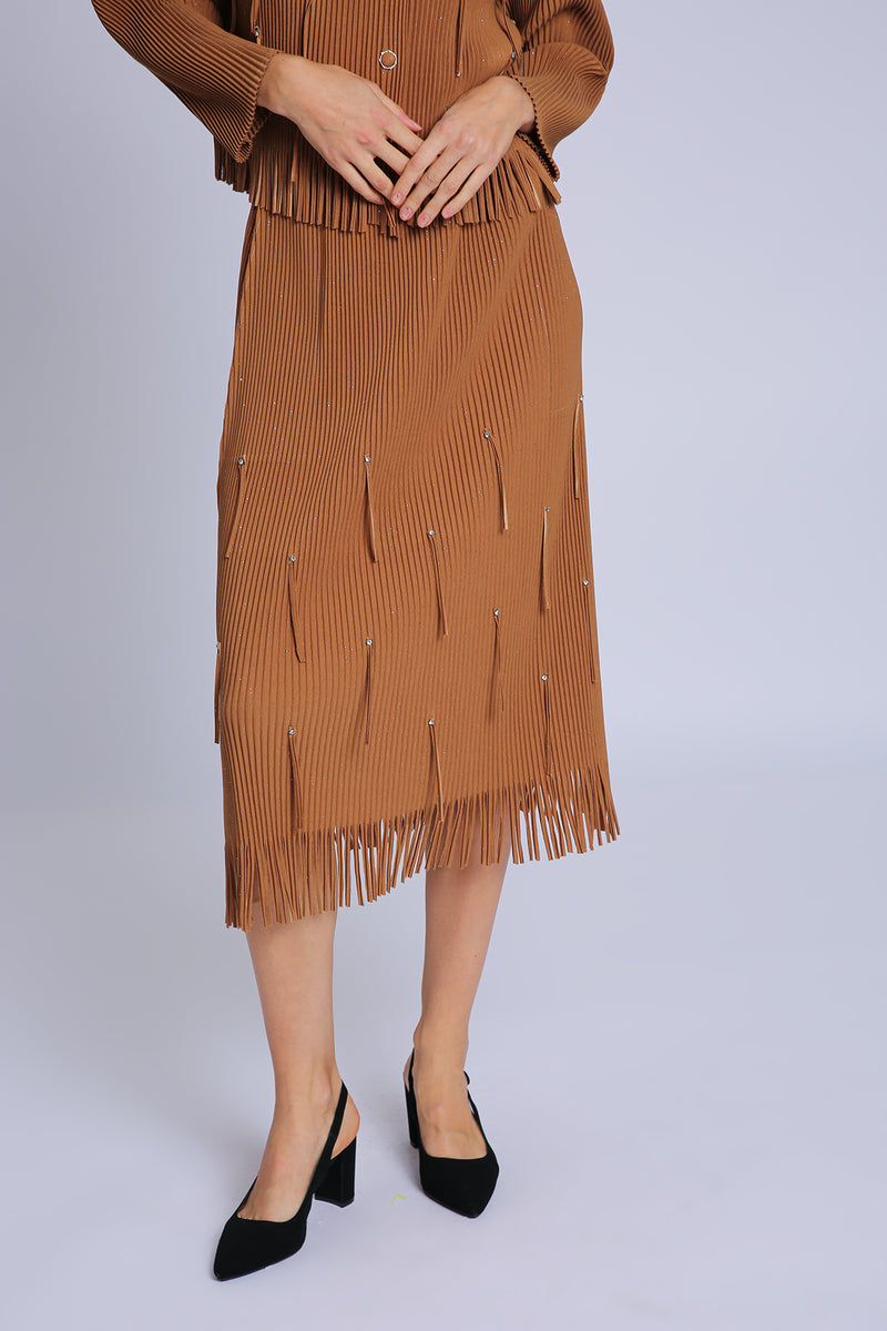 Marcelo Embellished & Fringed Trim Pleats Top & Skirt Set