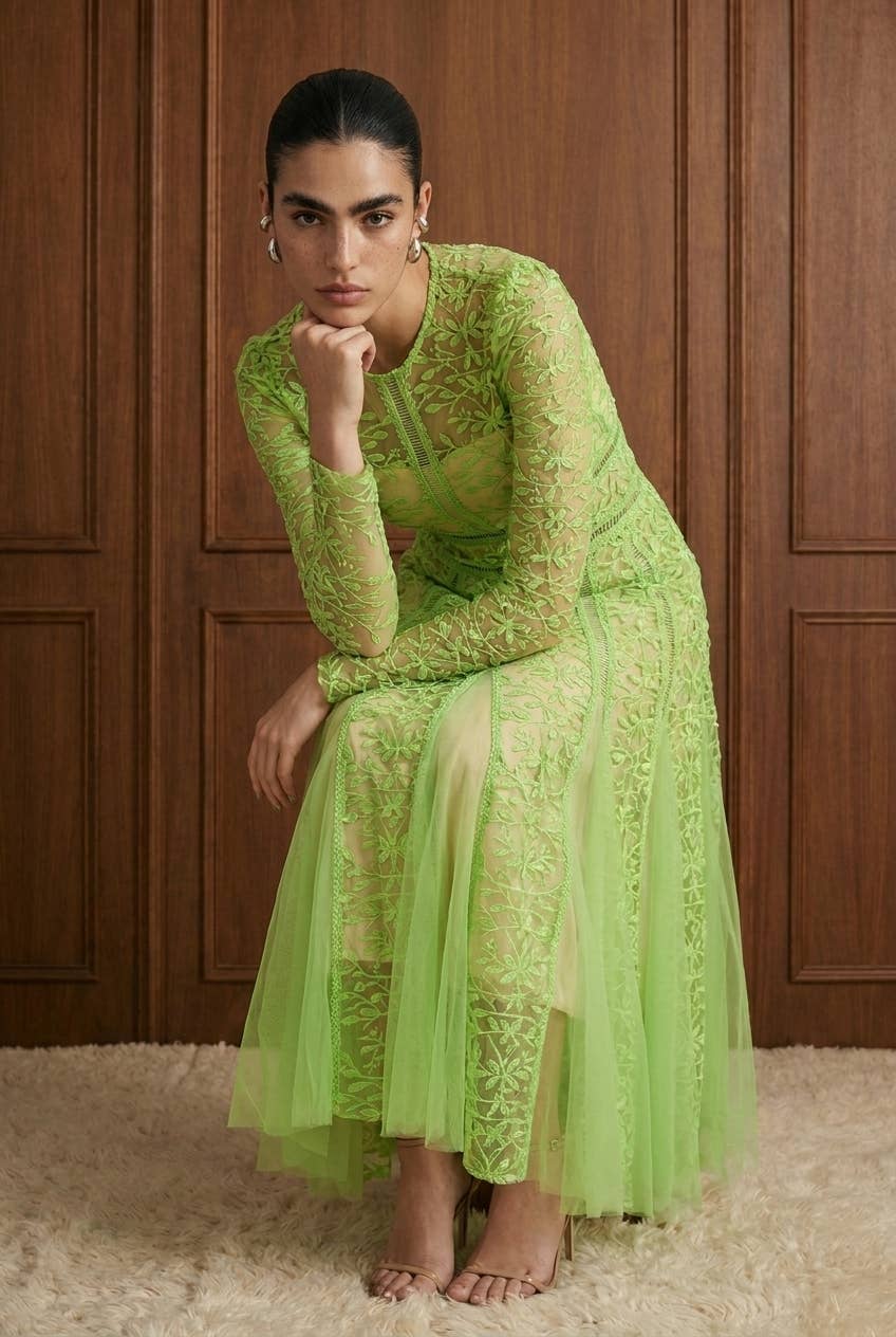 Embroidered Mesh Paneled Midi Dress