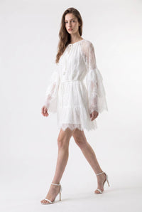 Eyelash Lace Tassel Tie Mini Dress
