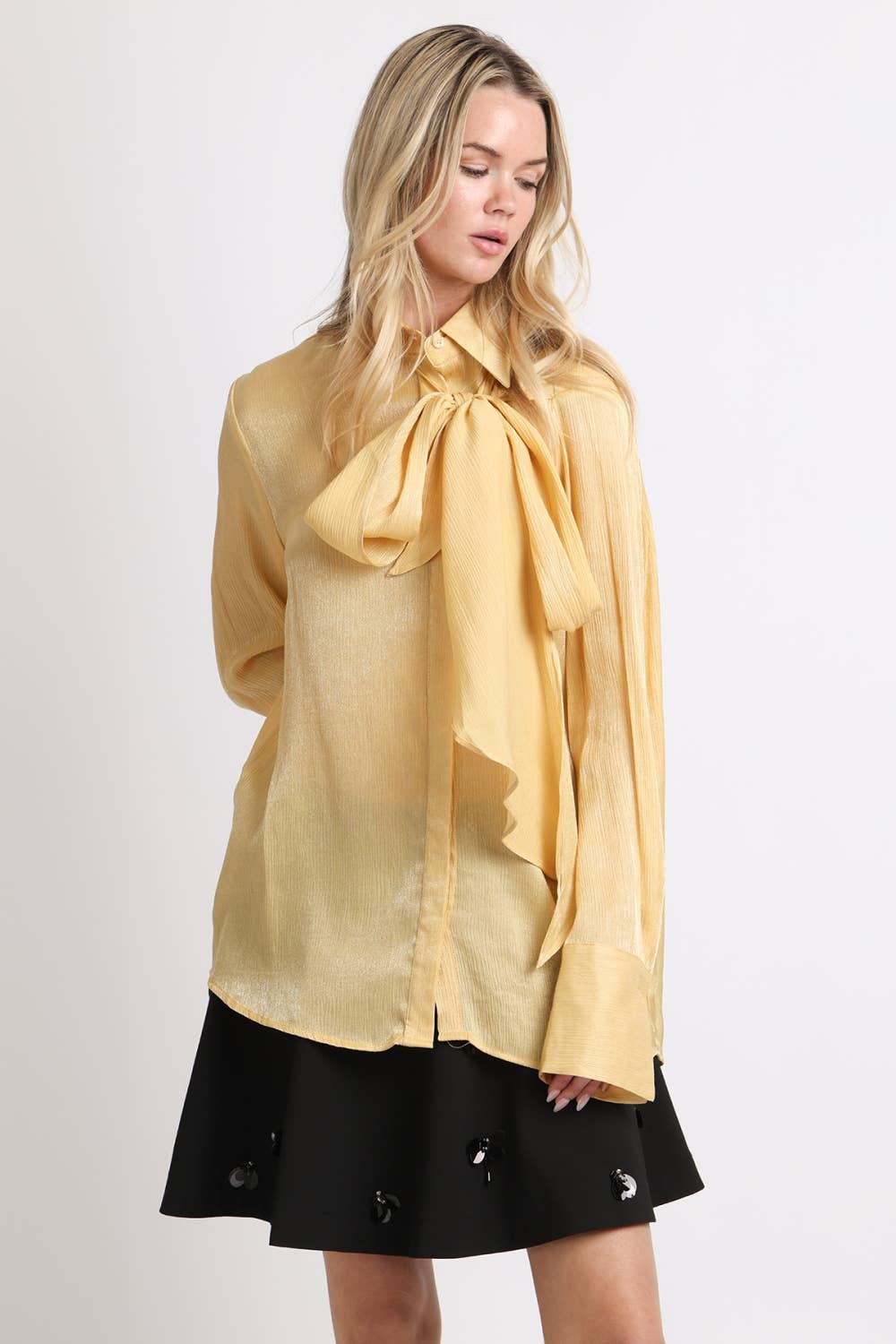 Luminous Sheer Tie Neck Long Sleeve Blouse