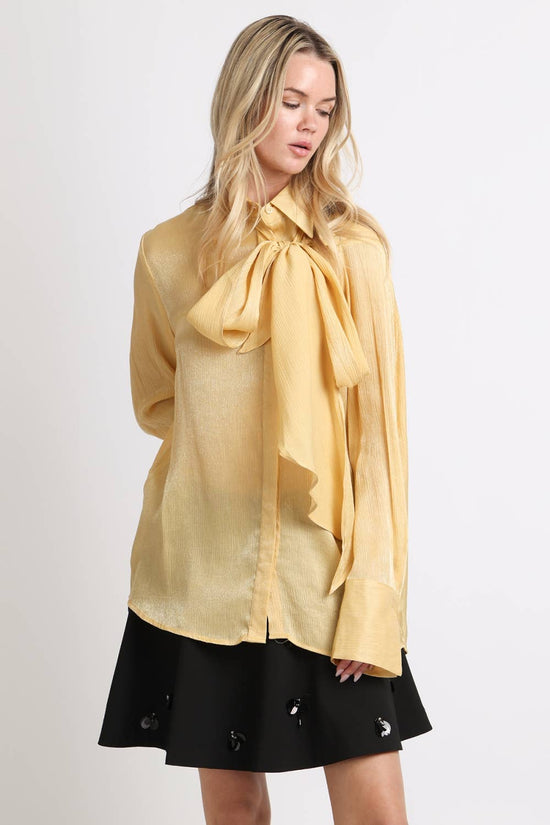 Luminous Sheer Tie Neck Long Sleeve Blouse