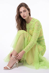Embroidered Mesh Paneled Midi Dress