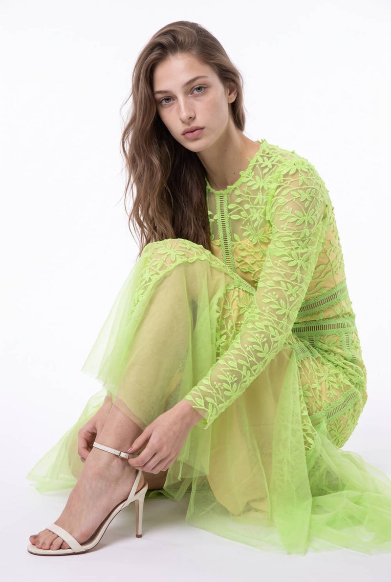 Embroidered Mesh Paneled Midi Dress