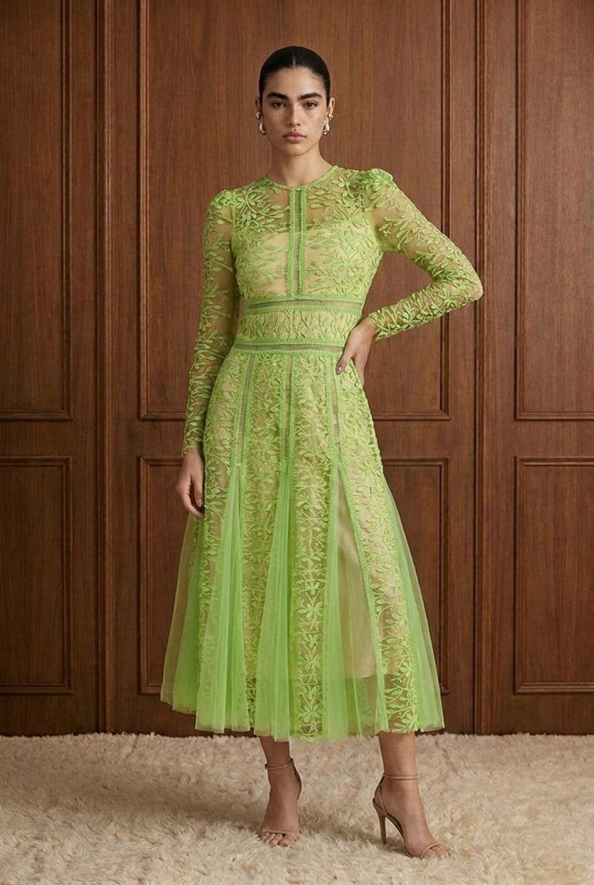 Embroidered Mesh Paneled Midi Dress