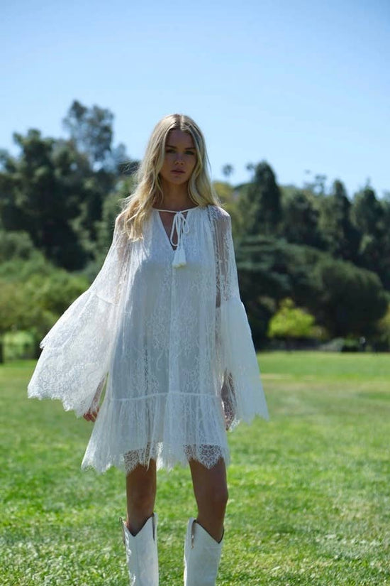 Floral Embroidered on Mesh Flounce Mini Dress