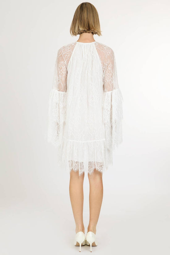 Floral Embroidered on Mesh Flounce Mini Dress