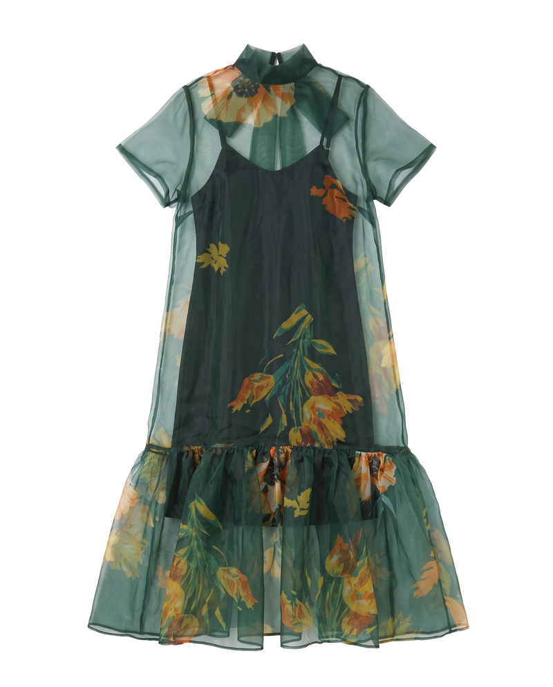 Floral Print Sheer Organza Tie Neck Maxi Dress